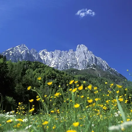 Guest house Gaestehaus-pension Bendler Kirchdorf in Tirol