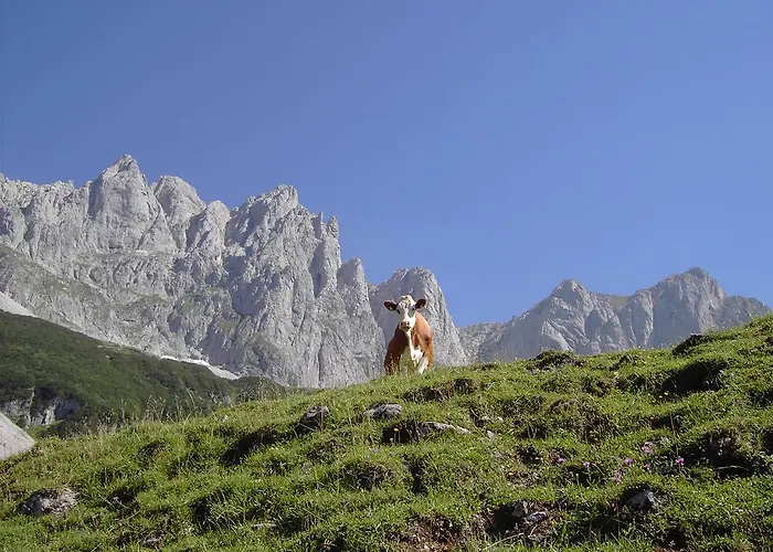 Vendégház Gaestehaus-pension Bendler Kirchdorf in Tirol