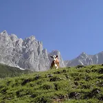 Guest house Gaestehaus-pension Bendler Kirchdorf in Tirol